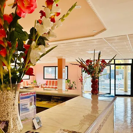 Ocean And Chill Lejlighed *